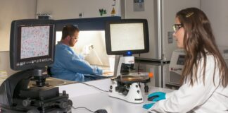 chlamydia trachomatis