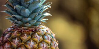 Ananas na odchudzanie