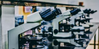 nadpłytkowość samoistna