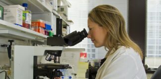 niedokrwistość megaloblastyczna