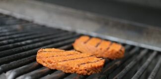 seitan