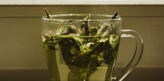 właściwości herbaty konopnej