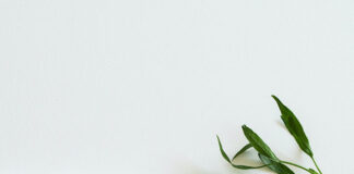 Dlaczego warto współpracować z dietetykiem i trenerem personalnym online