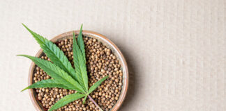 Kolekcjonerskie nasiona marihuany