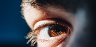 Jakie są główne teorie rozwoju człowieka?