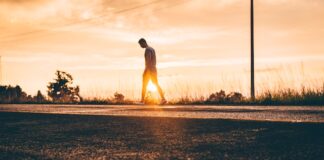 Jak rozwój osobowości wpływa na relacje międzyludzkie i sukces zawodowy?