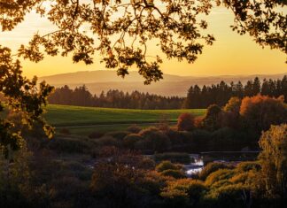 Dlaczego nie powinno się opalać?