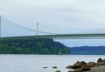 Co skutecznie zwęża pory?