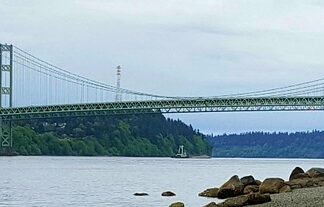 Co skutecznie zwęża pory?