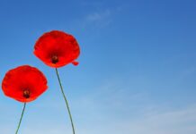 Czym najlepiej golić miejsca intymne damskie?