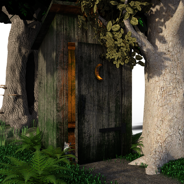 Dlaczego zapycha się kibel? Dlaczego zapycha się kibel?