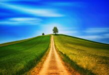 Czy chodzenie obniża ciśnienie?