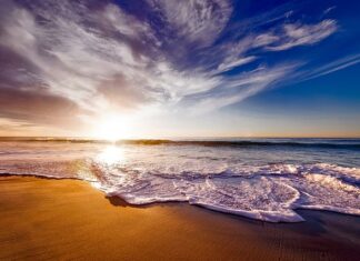 Czy picie herbaty z pokrzywy wzmacnia włosy?