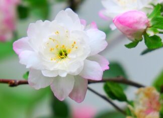 Ile jest rodzajów apteczek?