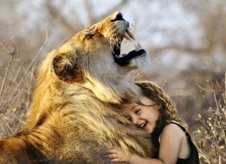 Która wcierka jest najlepsza?