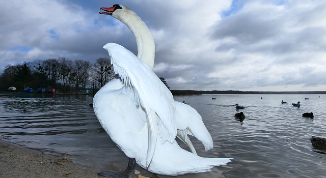 Ile lat rozkłada się żyłka? Ile lat rozkłada się żyłka?