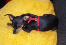 Co jeść żeby nie chrapać?