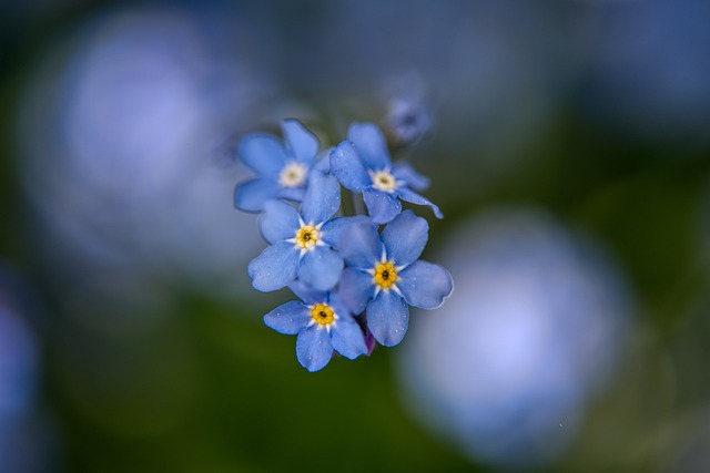 Od jakiego wieku można podawać Apap? Od jakiego wieku można podawać Apap?